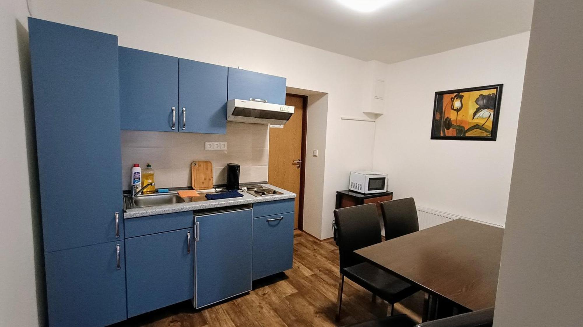 Apartments Gato Karlovy Vary Dalovice Buitenkant foto